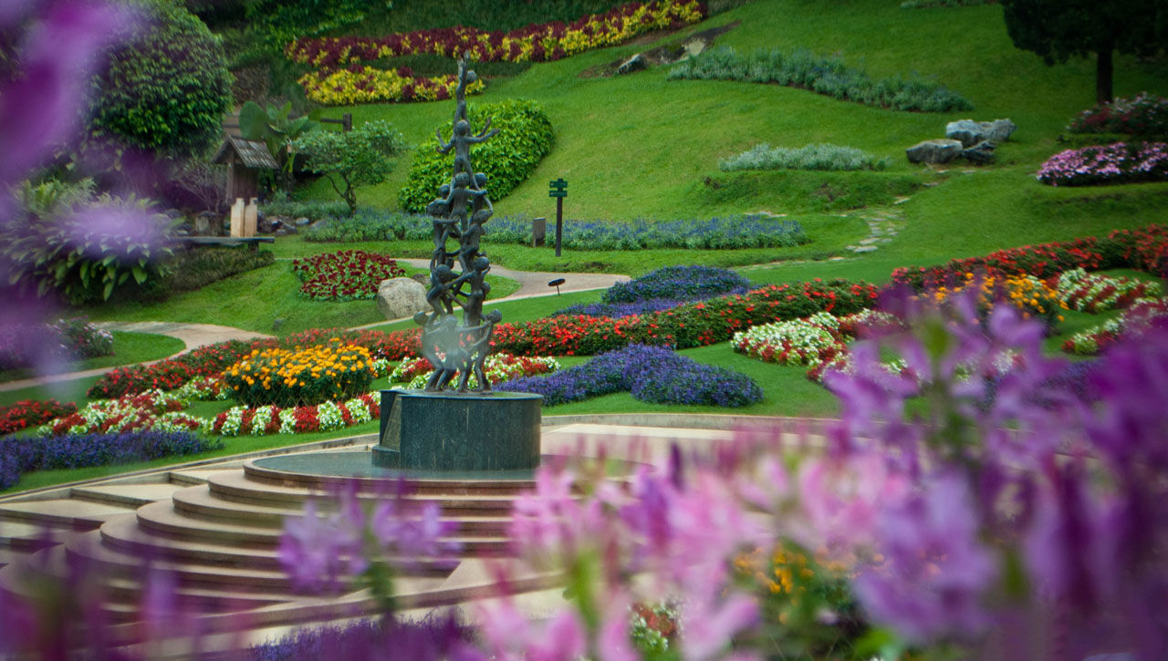 Start your cultural journey with Chiang Rai’s serene glow